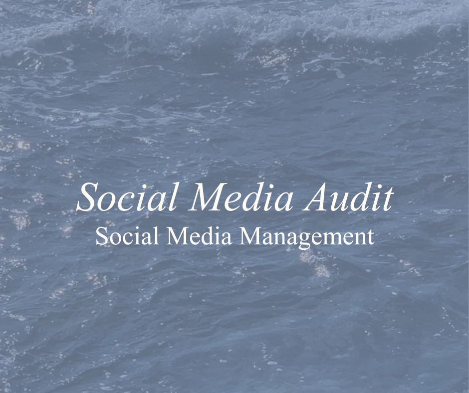 Social Media Audit